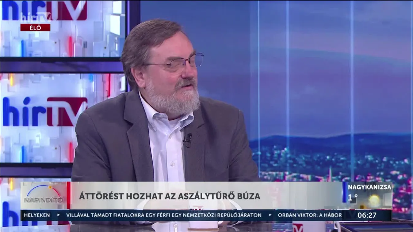 Aszálytűrő búza: magyar áttörés a biztonságos élelmiszerért | Napindító