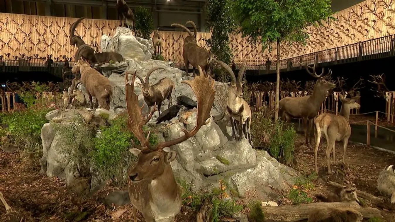 Kovács Zoltán: A magyar vadgazdálkodás példaértékű