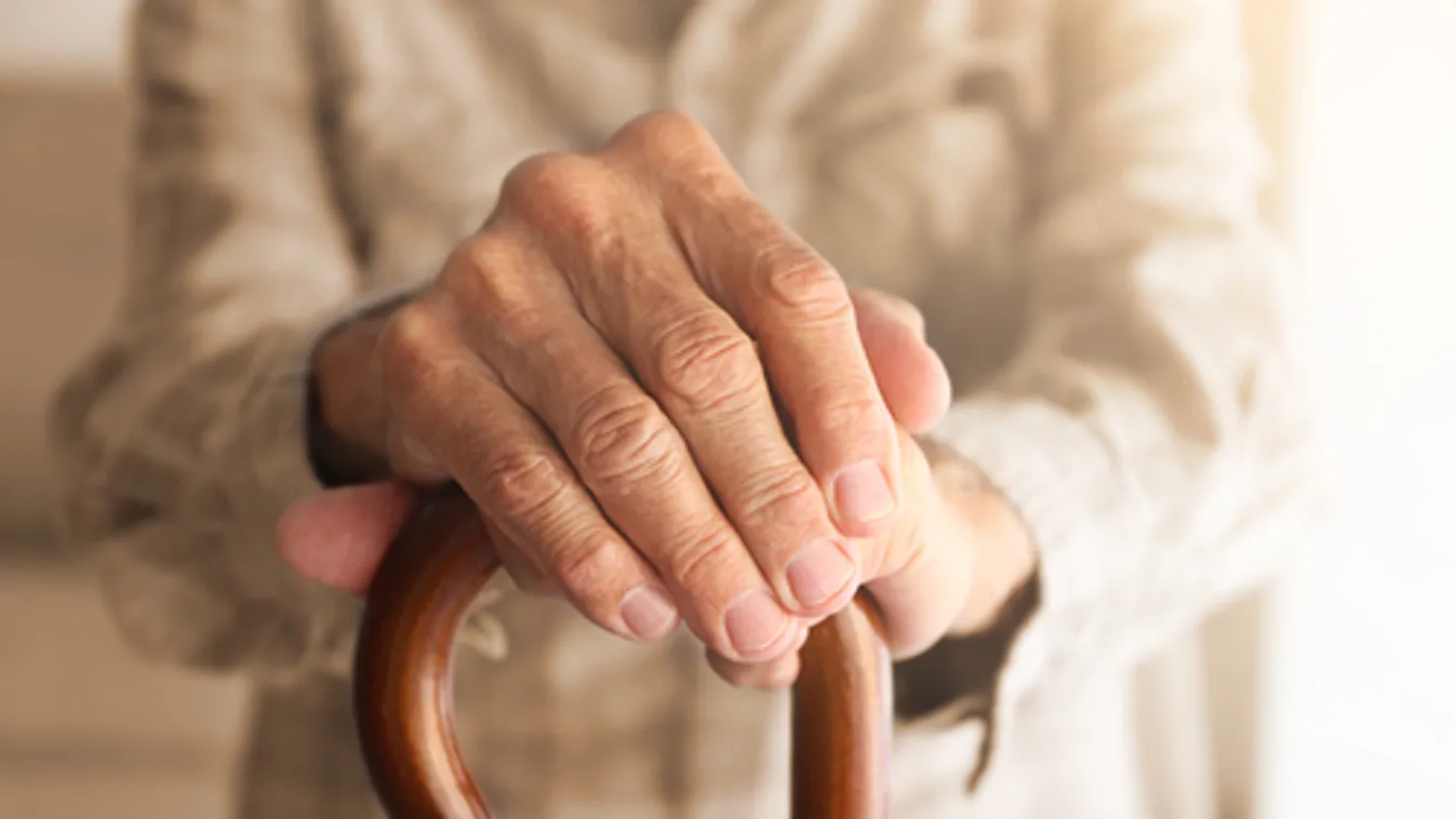 Csaknem kétezer idős ellátásáról gondoskodott eddig a kecskeméti önkormányzat