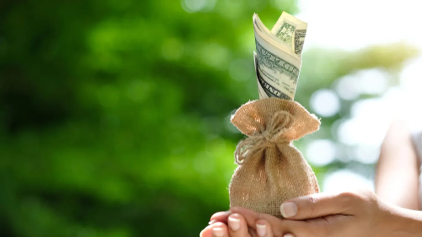 Sikertörténet a gazdaságfehérítés Magyarországon