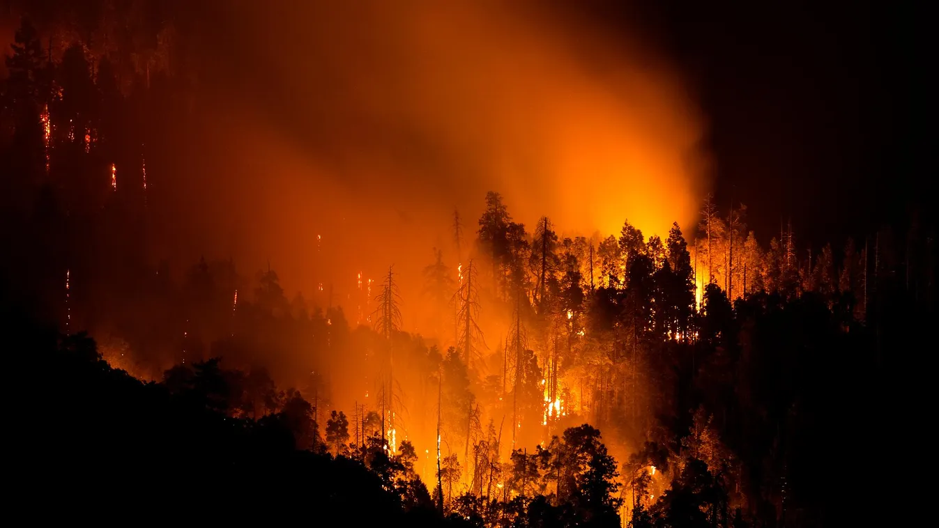 Erdőtűz ütött ki Franciaország déli részén