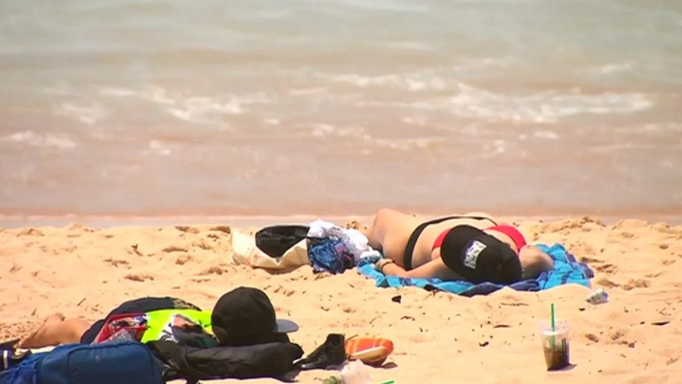 „A klímaváltozás gyorsabb, mint ahogy mi cselekedni tudunk”