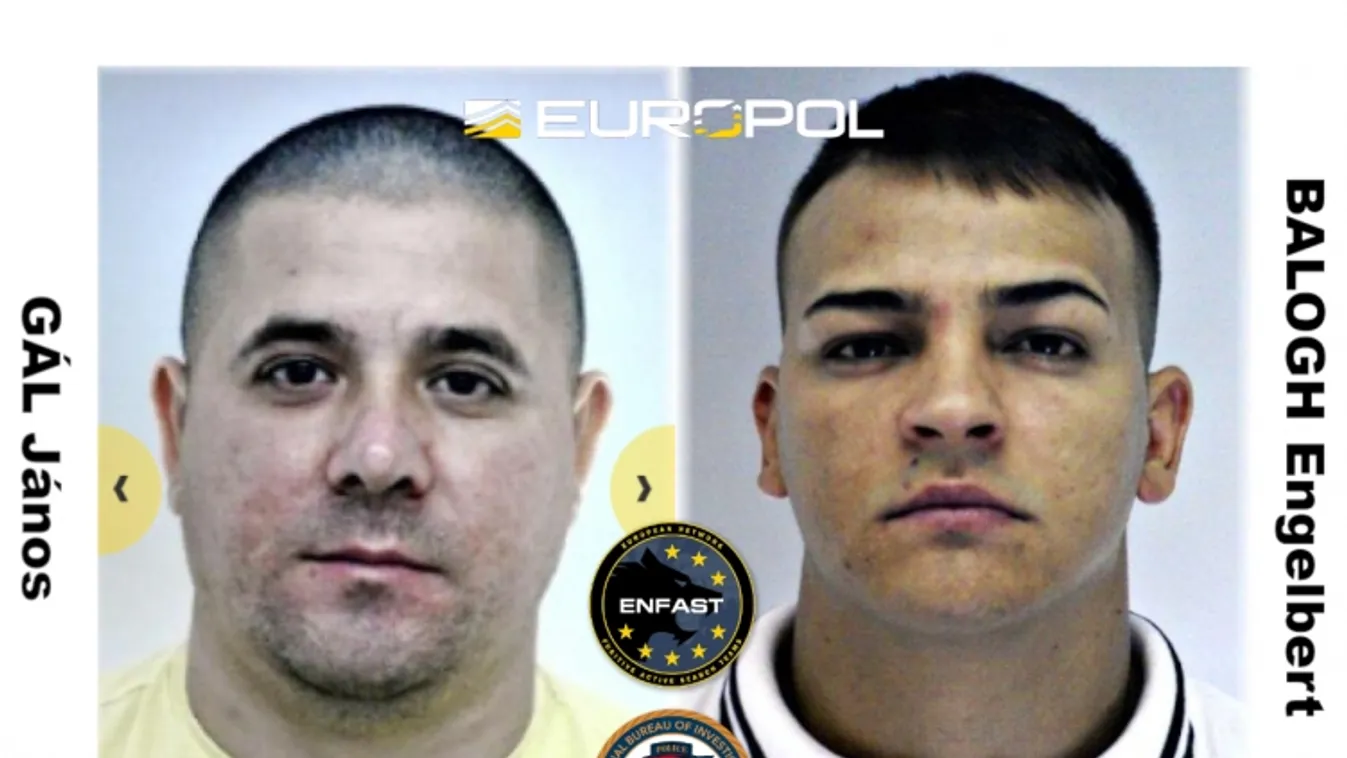 Magyar késelők Európa legkeresettebb bűnözői között