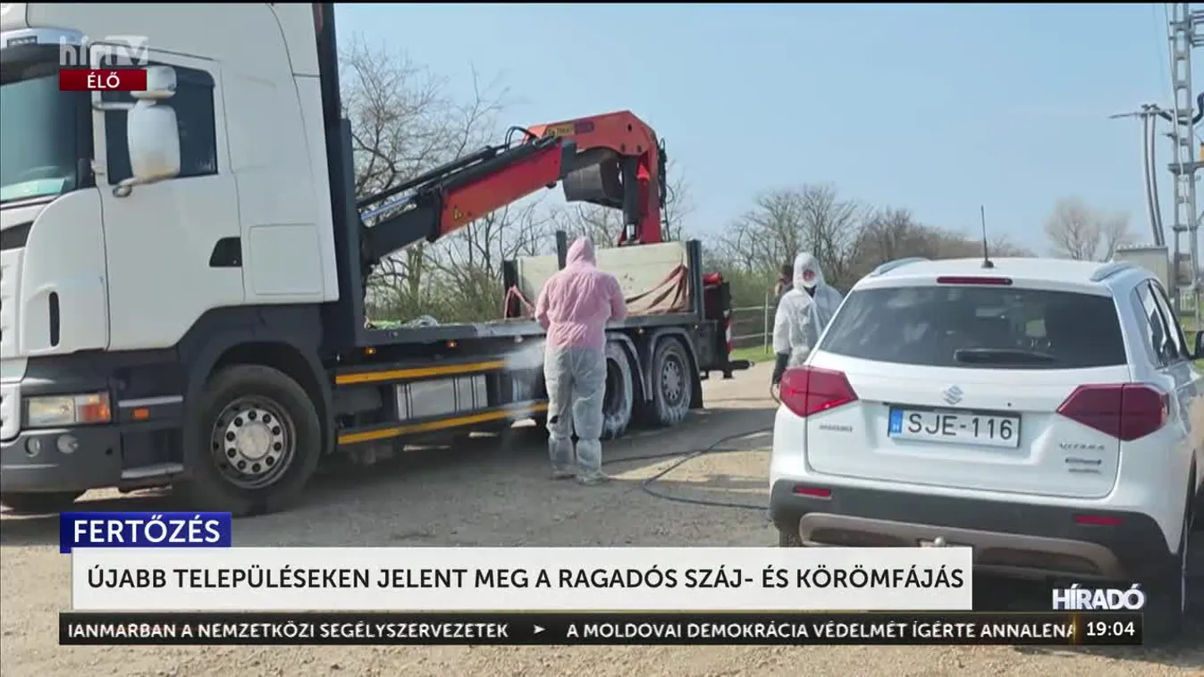 Újabb két településen jelent meg a ragadós száj- és körömfájás vírus + videó