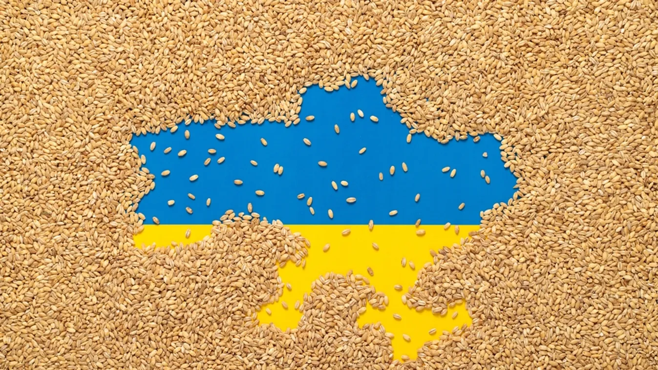 Az ukrán mezőgazdasági termékek vámmentességéről dönt Brüsszel + videó