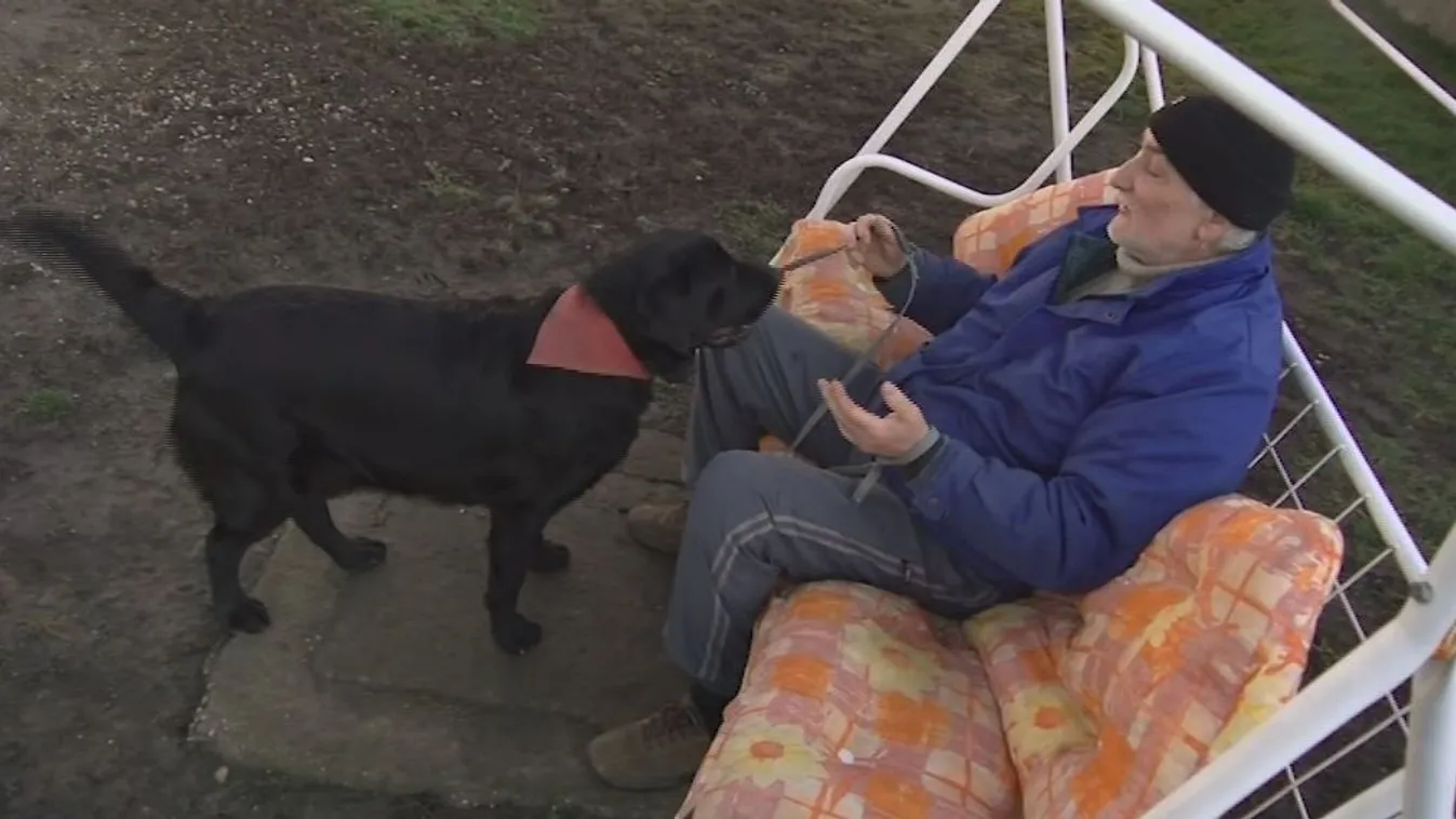 Rendszeres a kutyamérgezés Szőregen