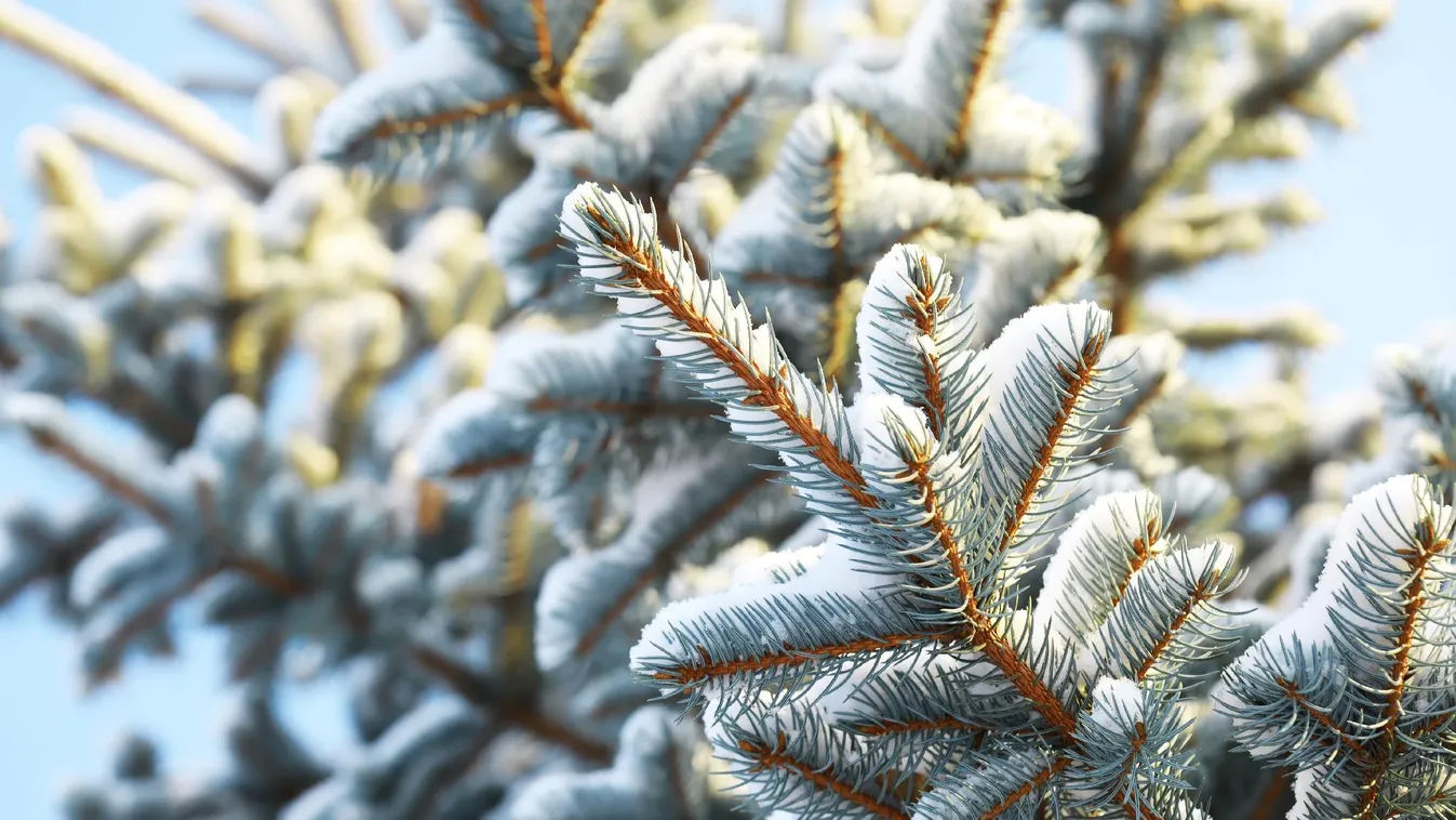 A jövő héten sokfelé jelentős mennyiségű csapadék valószínű