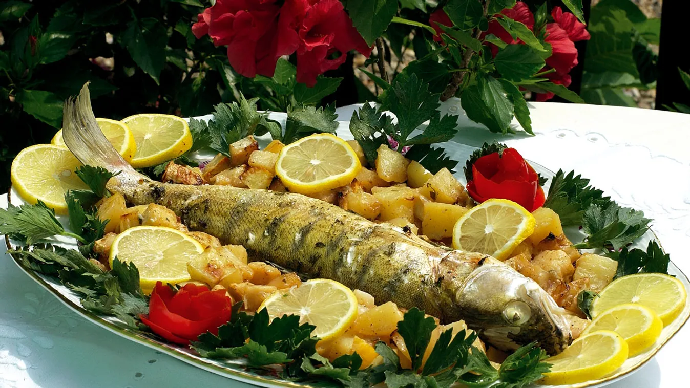 Fejedelmi hallakoma Szigligeten