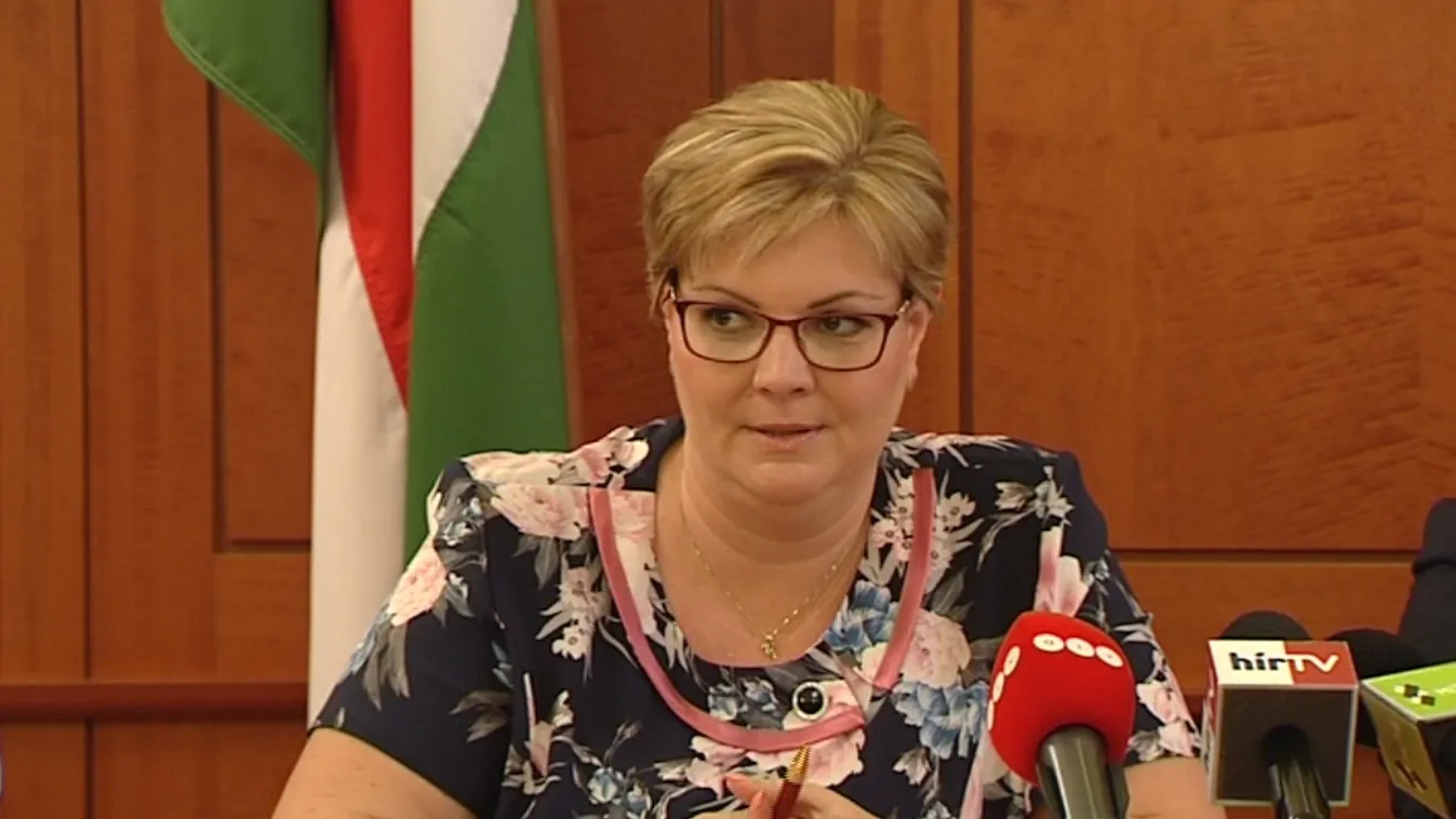 Elejét vette a kormánypropagandának az ellenzéki jelölt