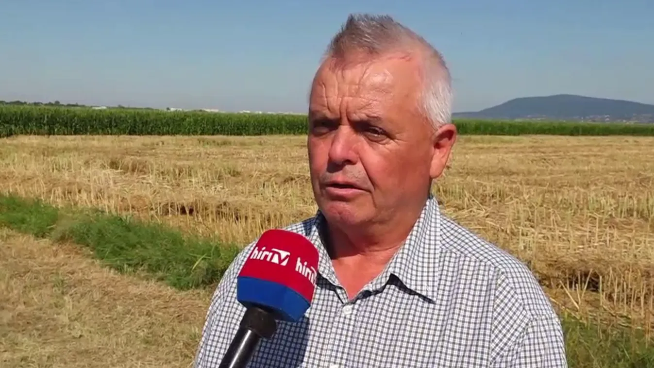 Napindító - Baranyában nem olyan bőséges a termés, ahogyan várták