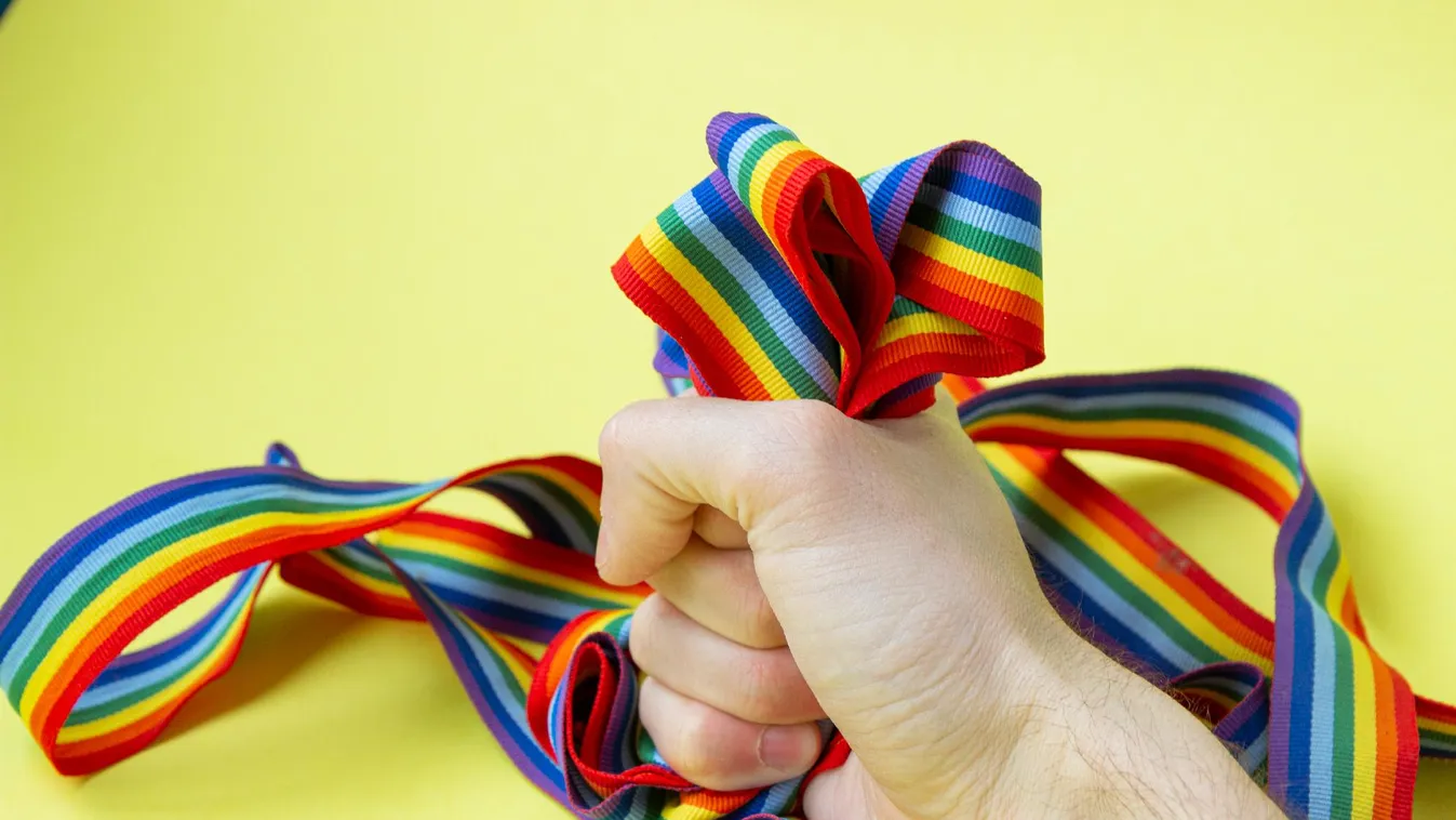 LMBT-stop: a propaganda és a nemváltó műtét is tilos lesz Georgiában