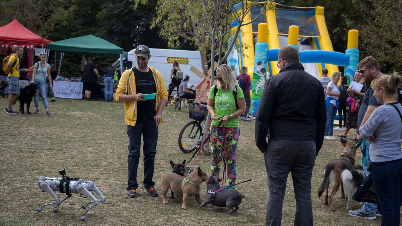 Szuper tippek felelős állattartók számára