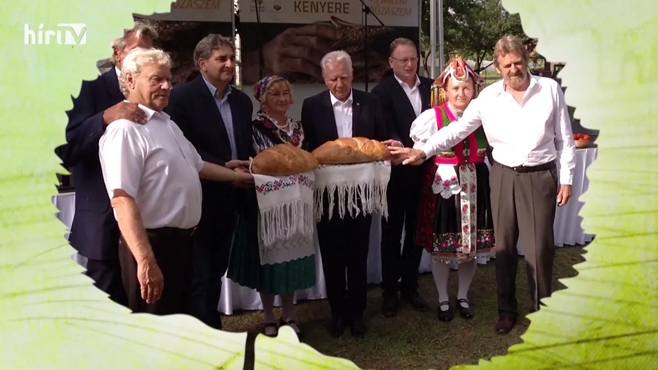 Soroló: Karancslapujtőn is gyűjtik a búzát