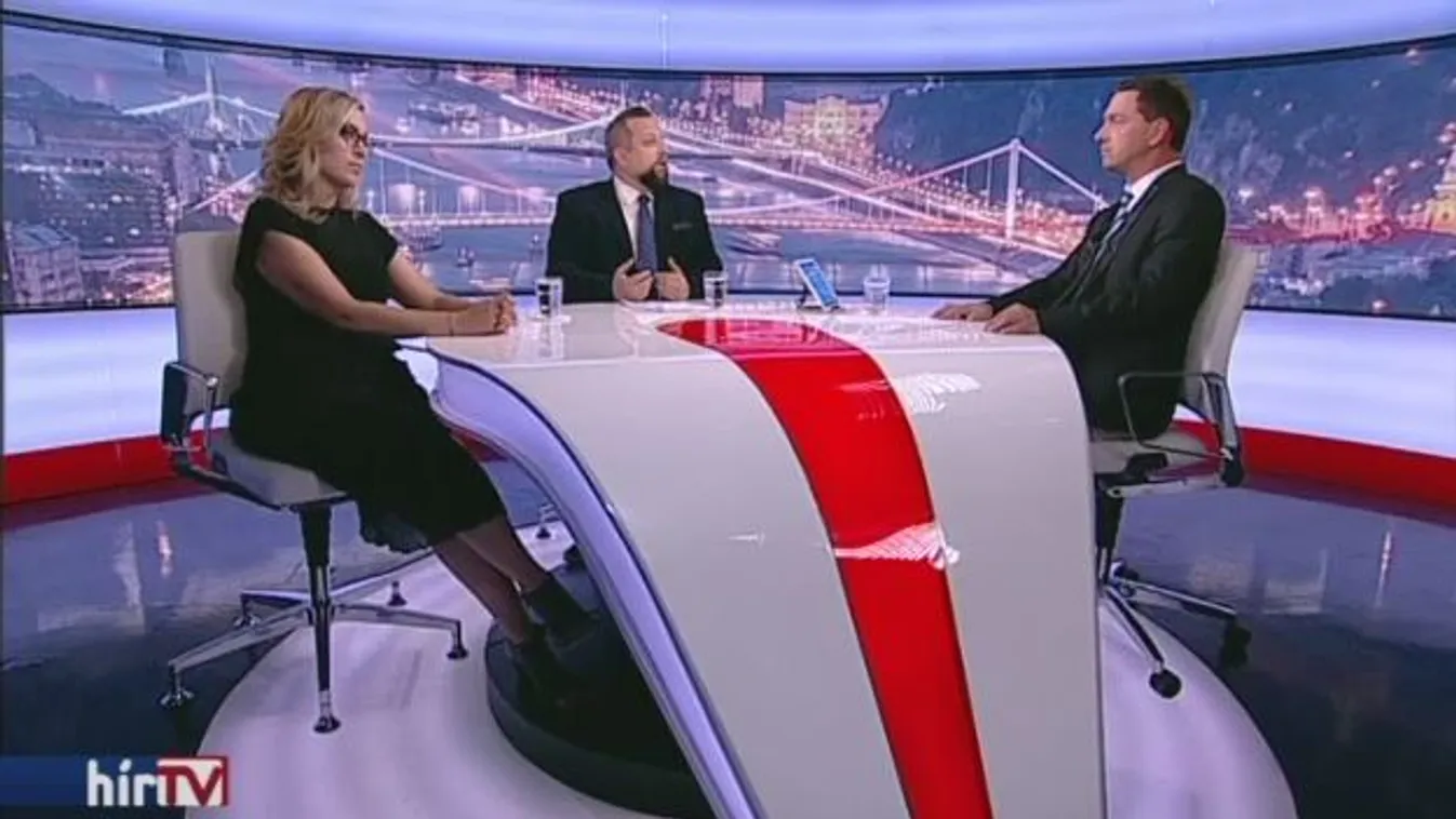 A mi kutyánk kölyke