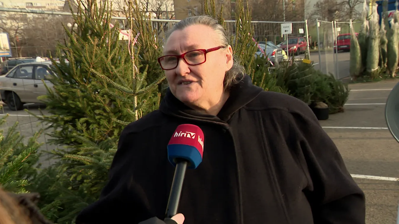 Többen hagyják az utolsó pillanatokra a fenyőfa vásárlást