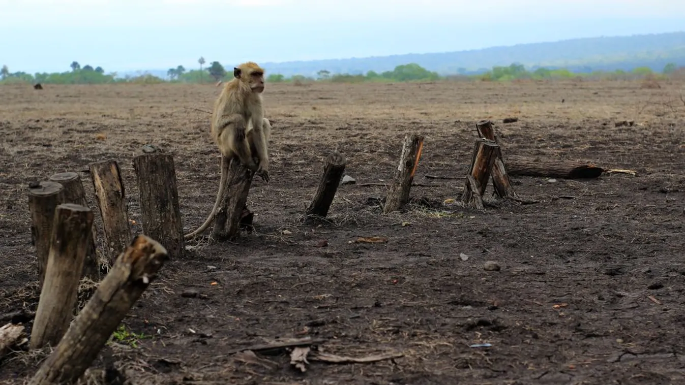 Sürgősen változtatni kell ember és természet viszonyán