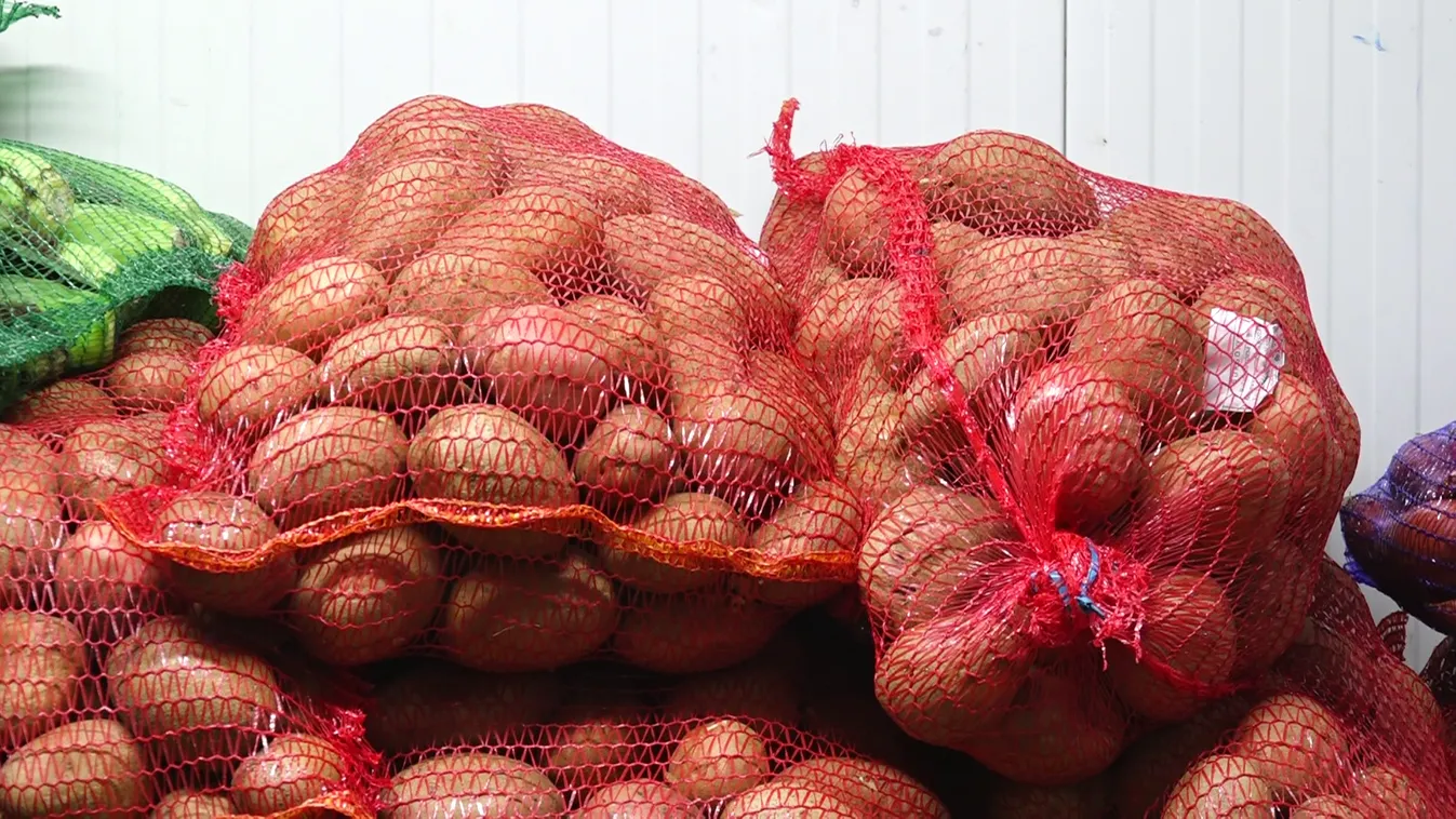 Egyre kevesebb burgonya terem Európában, de hazánk továbbra is megtermeli az itthon szükséges mennyiséget + videó