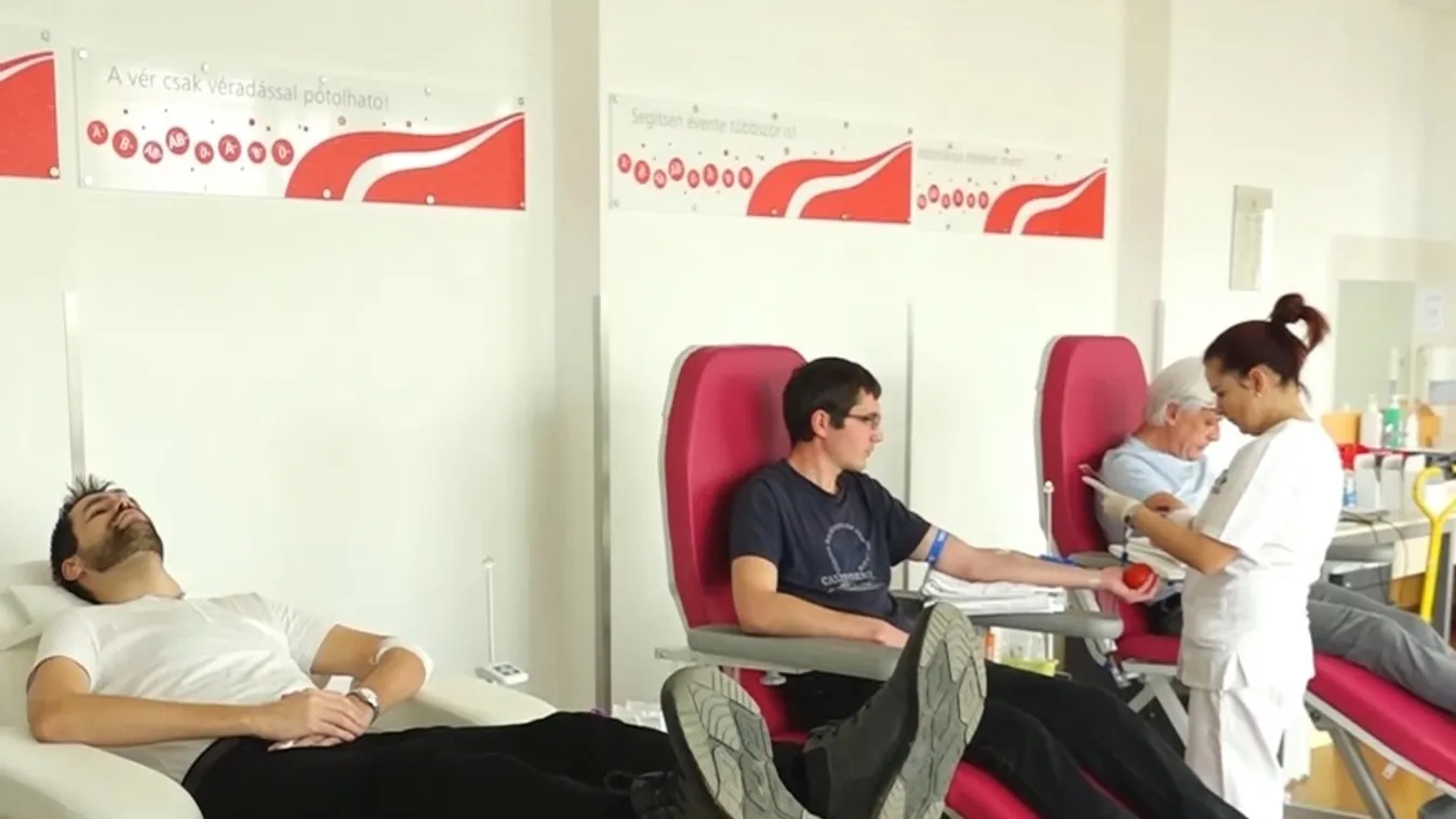 Összefogtak a baranyai méztermelők, hogy a véradást népszerűsítsék + videó