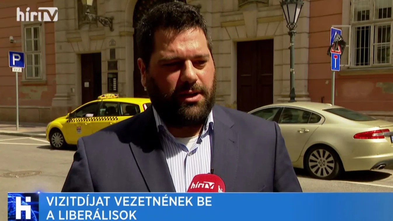 Vizitdíjat vezetne be a Magyar Liberális Párt