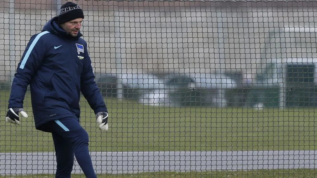 Petry Zsolt peren kívül megegyezett a Herthával