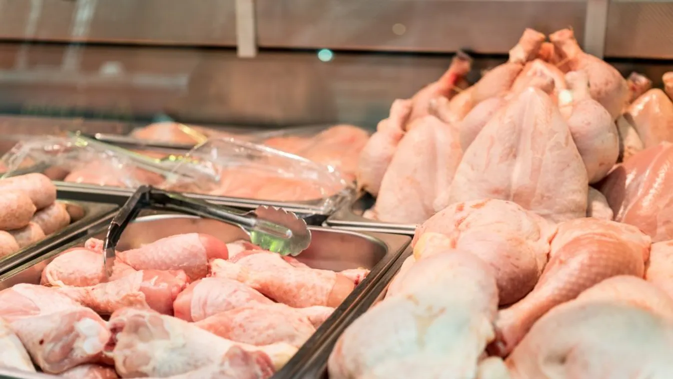 Szalmonellával fertőzött külföldi baromfihús árasztja el a piacot