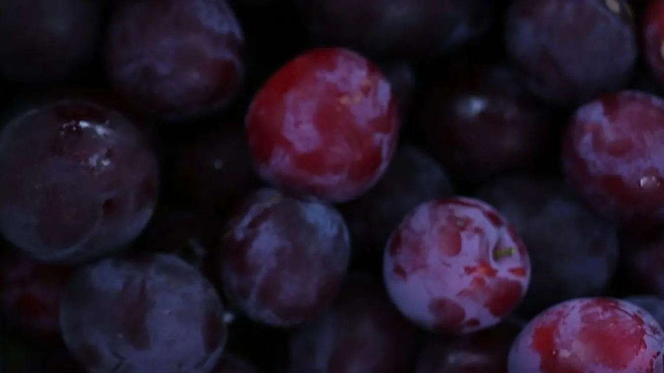 Figyelmeztetnek: ne egyenek a lopott gyümölcsből!