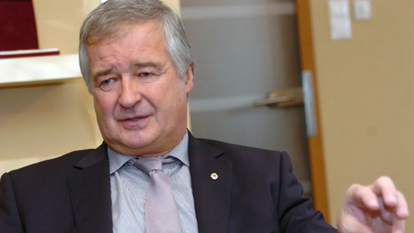 Botka nehézsúlyú ellenfelet kapott