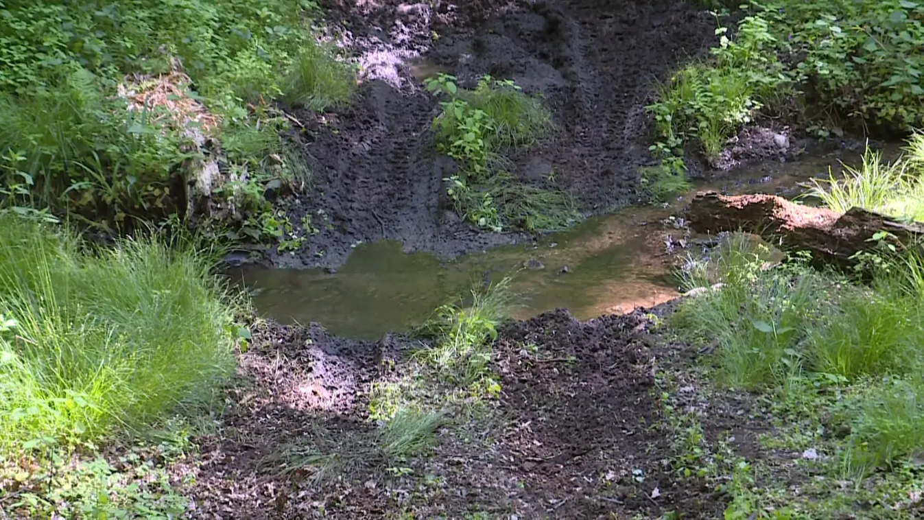 Évtizedek óta harcolnak a természetőrök és a quadosok egymással