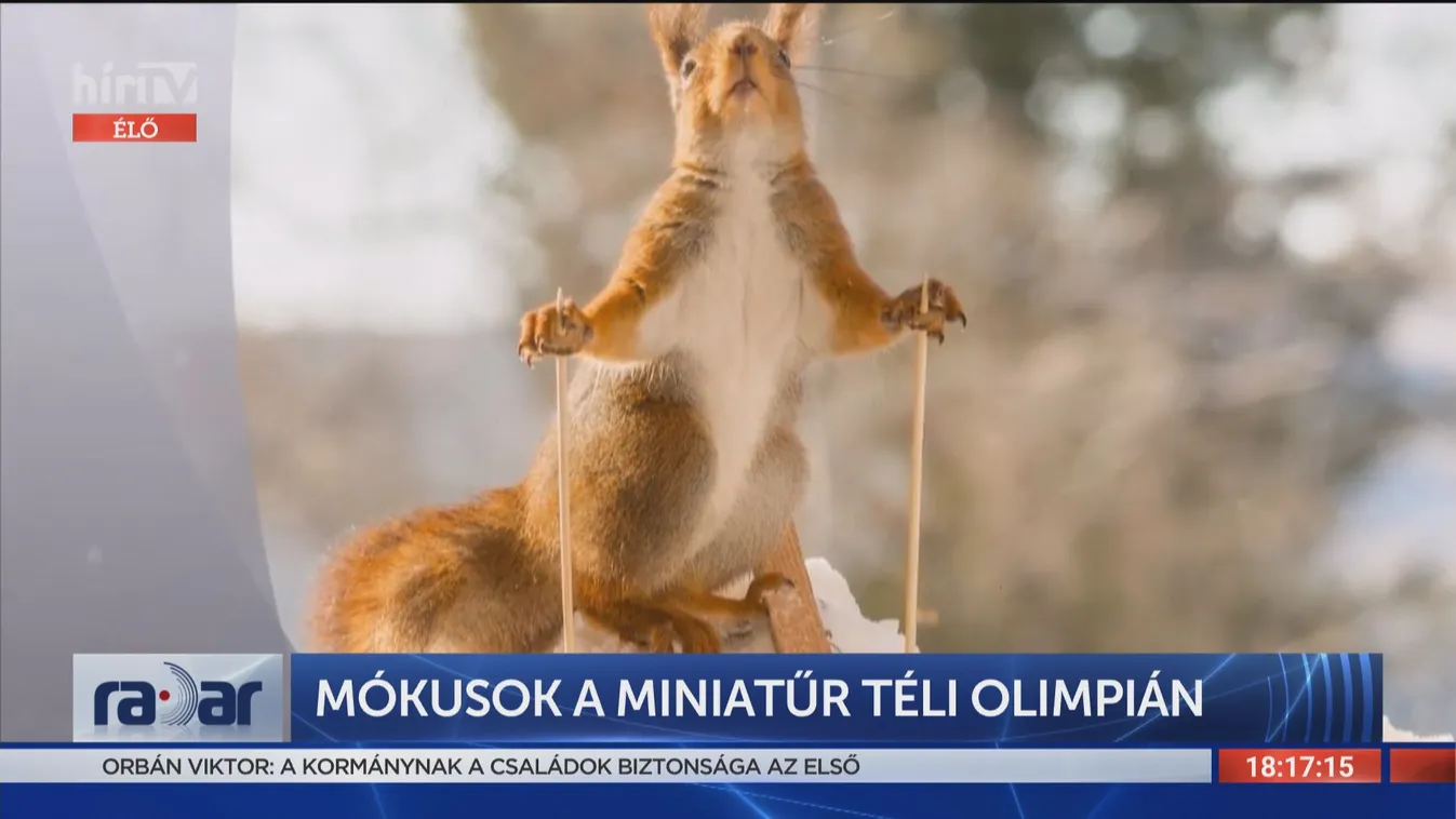 Radar - Érdekes hírek az állatvilágból