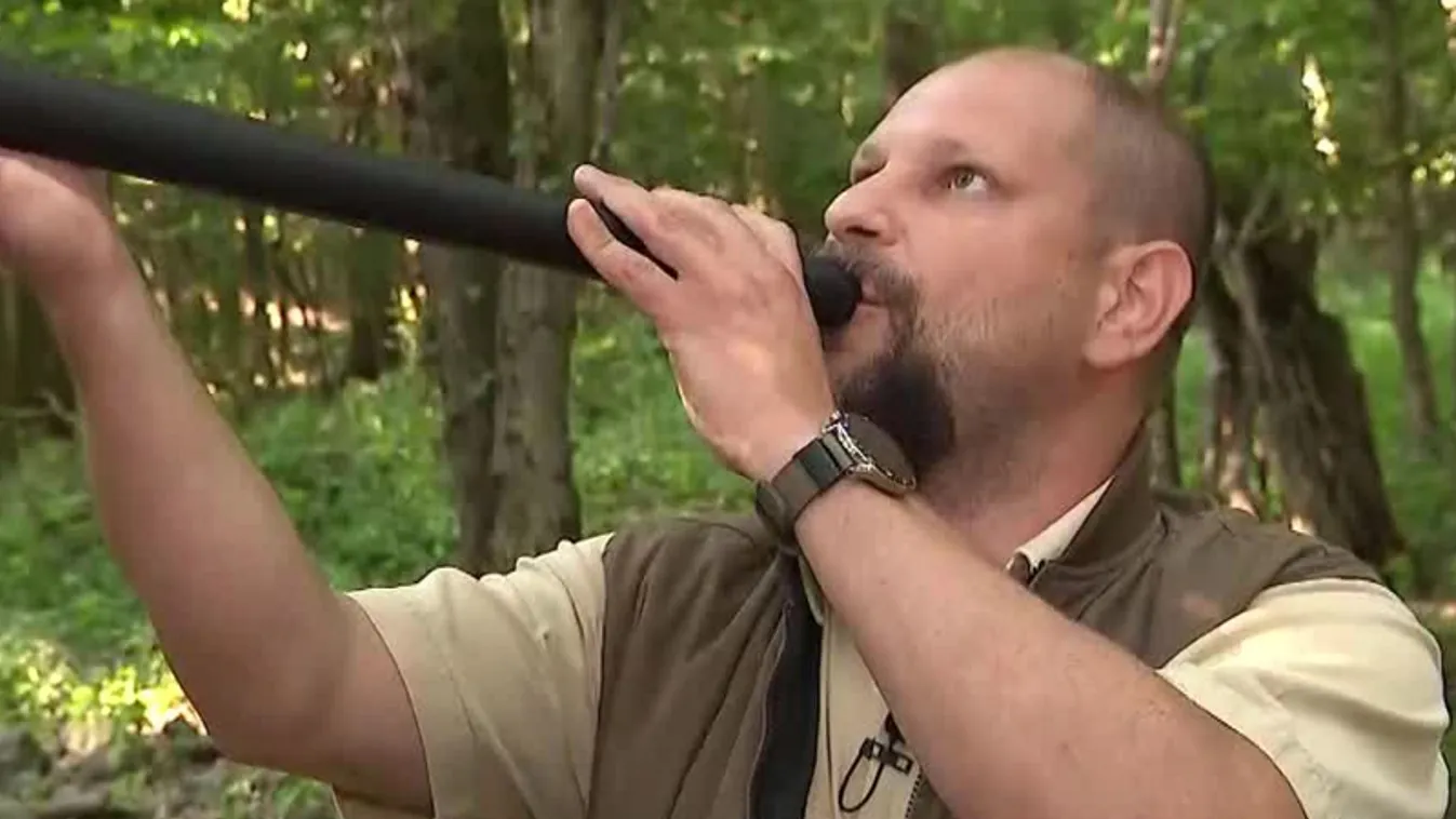 Napindító - Szarvasbőgéstúra