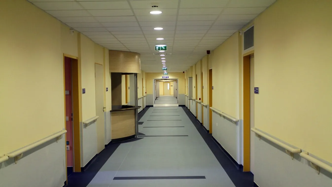 Kettős váll- és karátültetést végeztek Franciaországban a világon elsőként