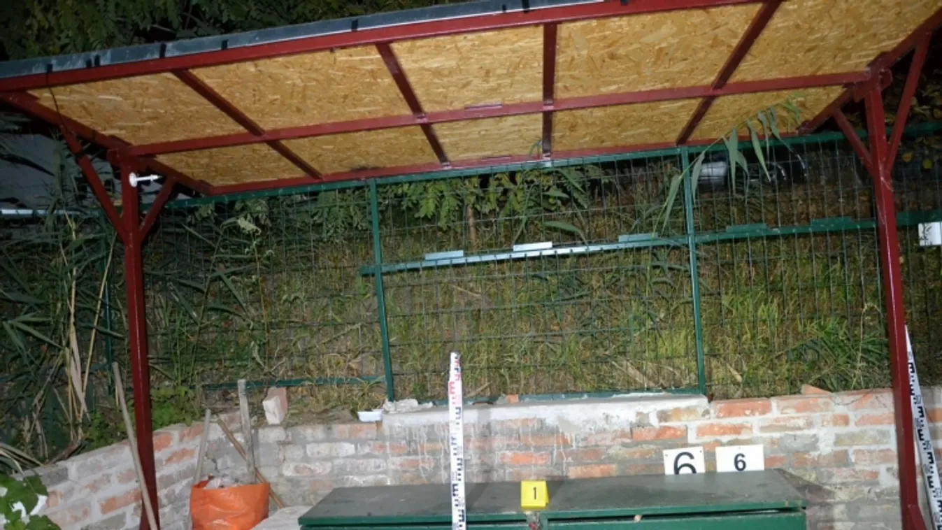 Nem járt sikerrel az éjszakai portyázó