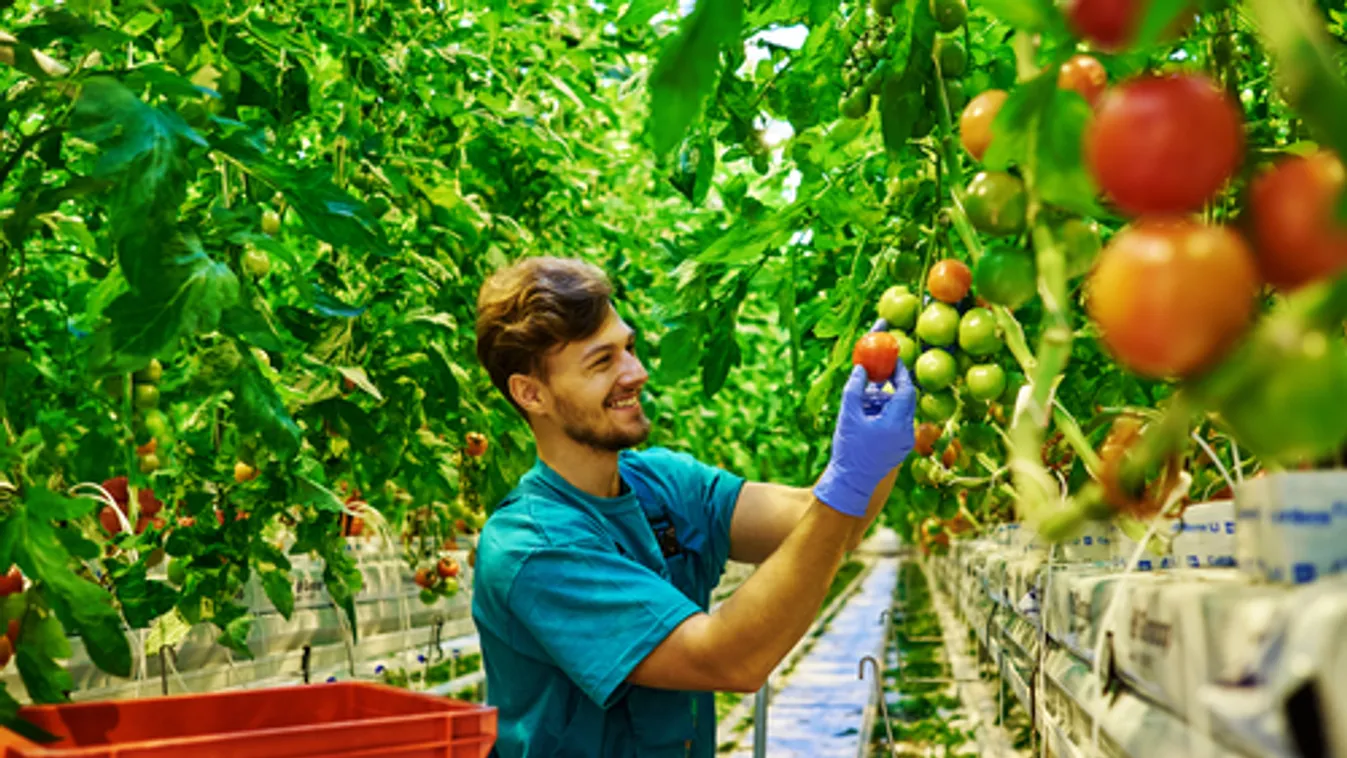Agrárminisztérium: Hazánk erős partnere az Egyesült Királyságnak