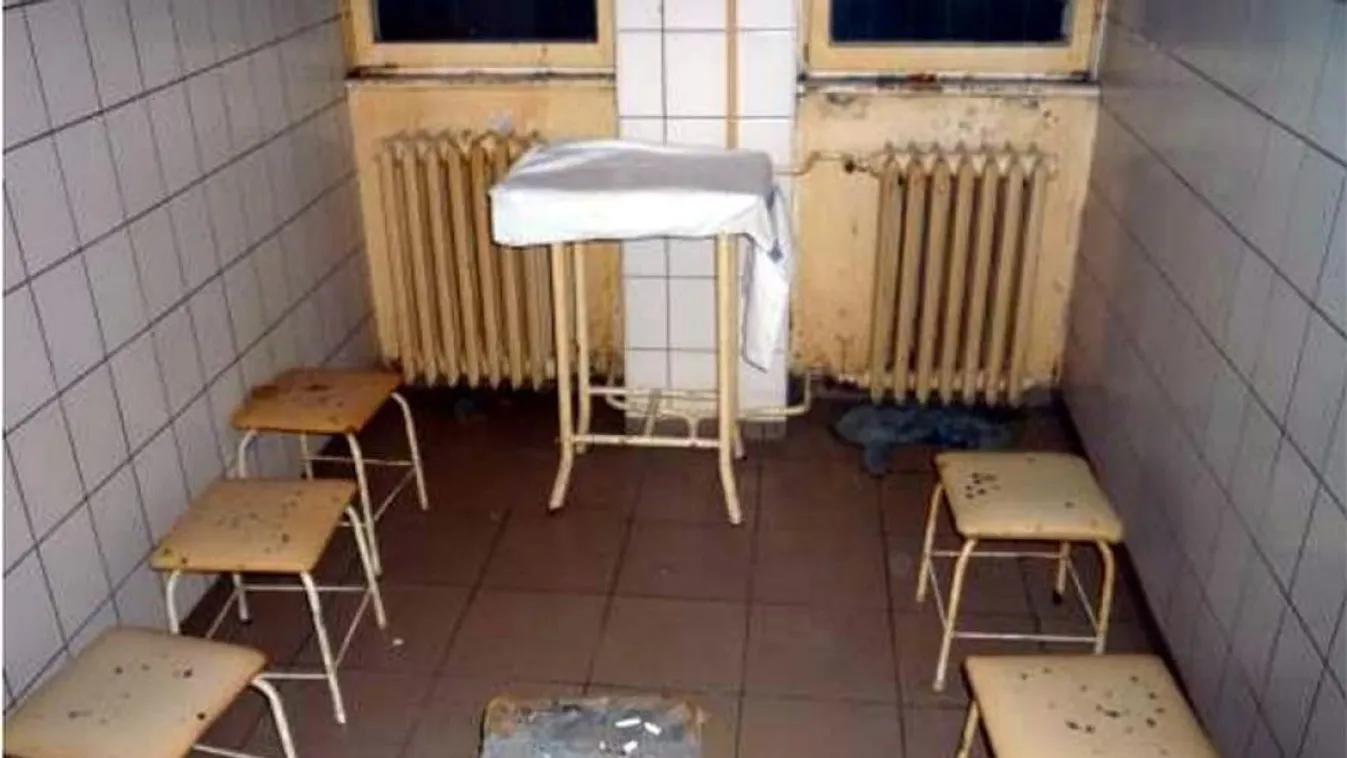 Belső vizsgálat a kórházi patkányok miatt