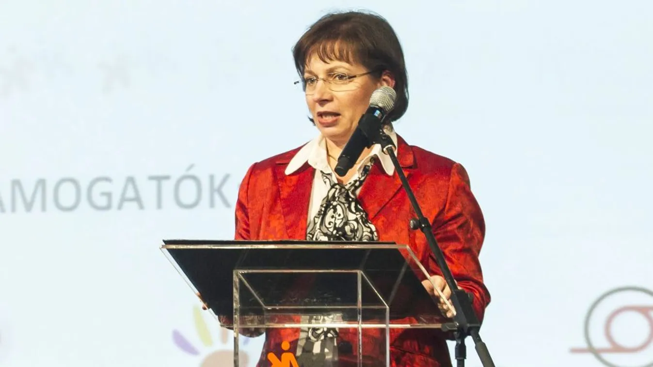 Karas: A médiatanács nem ízlésrendőrség