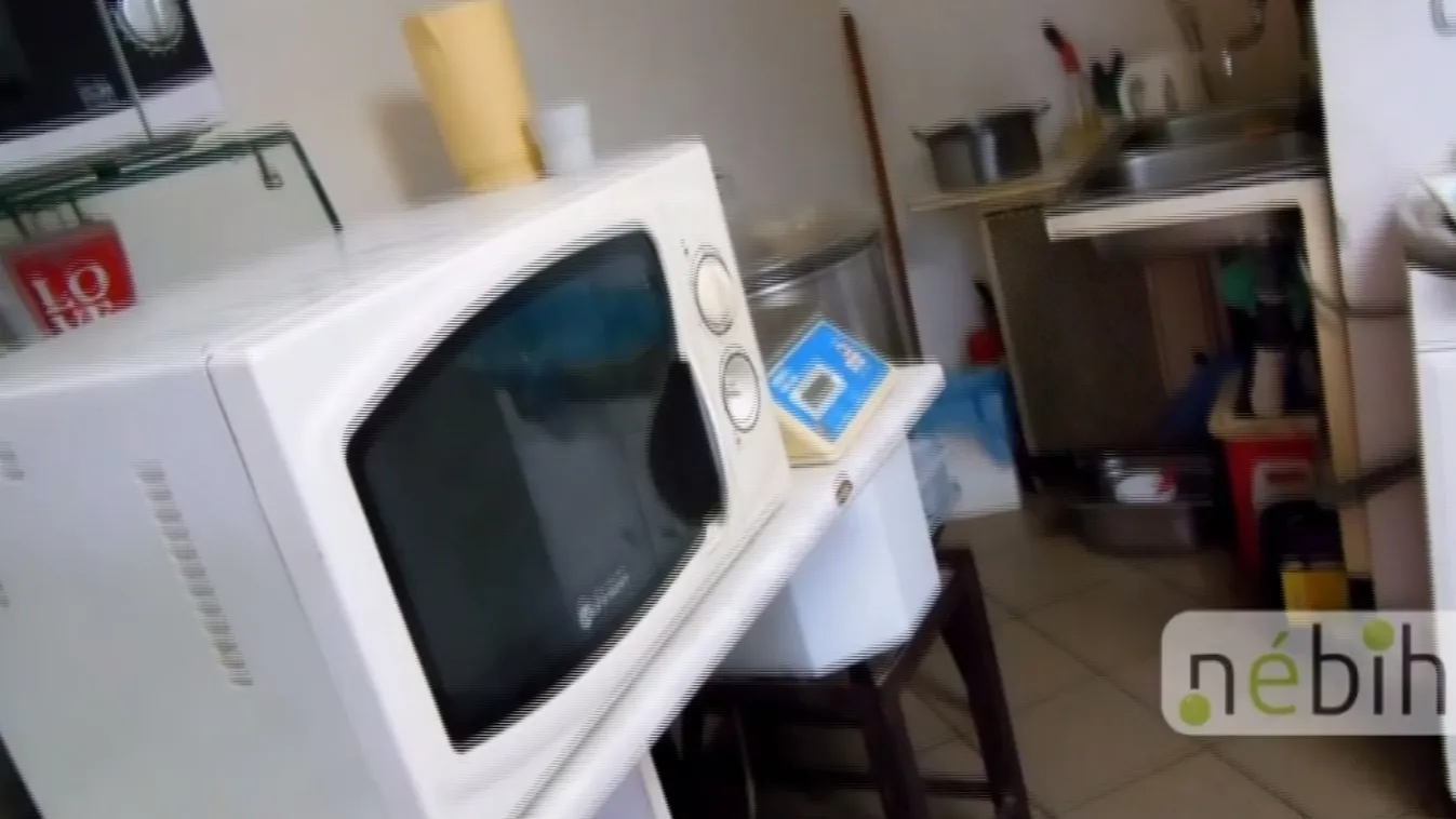 Illegális pizzériát számoltak fel Pest megyében