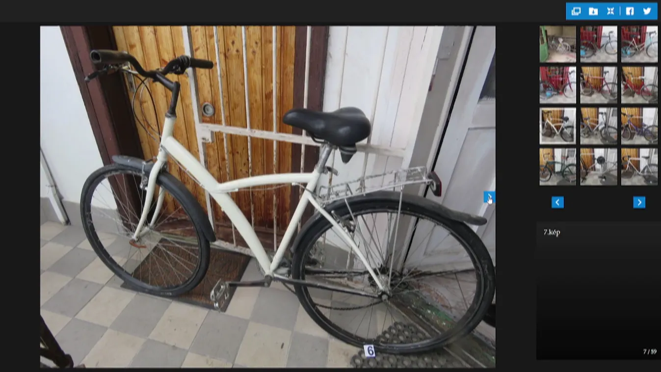 Radar - Bringagyűjtó kerékpártolvaj