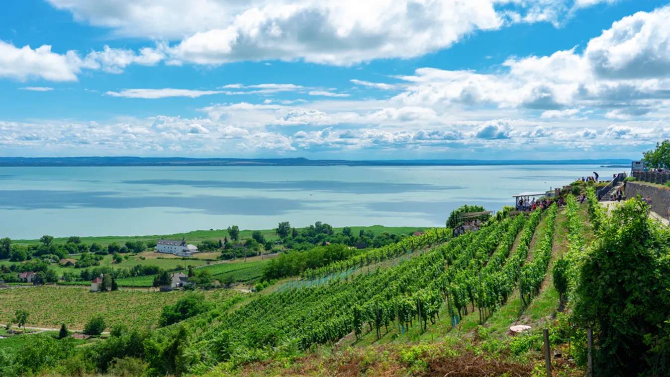 A Balaton megóvásáért indult ökológiai és kulturális programsorozat