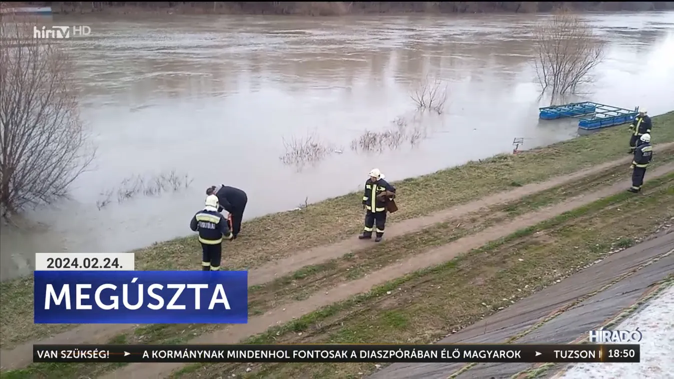 Kiskutyát mentettek a tűzoltók + videó