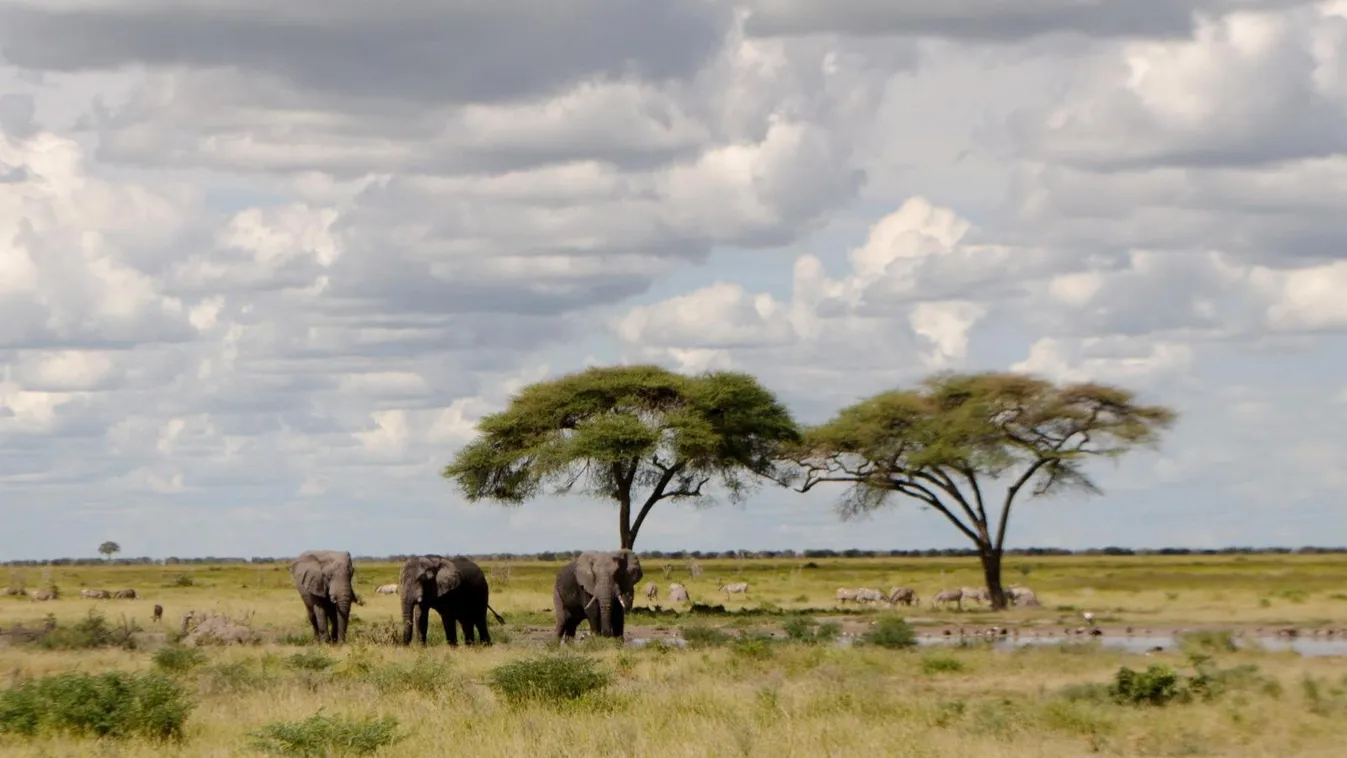 Botswanai Köztársaság – BBC Travel Show