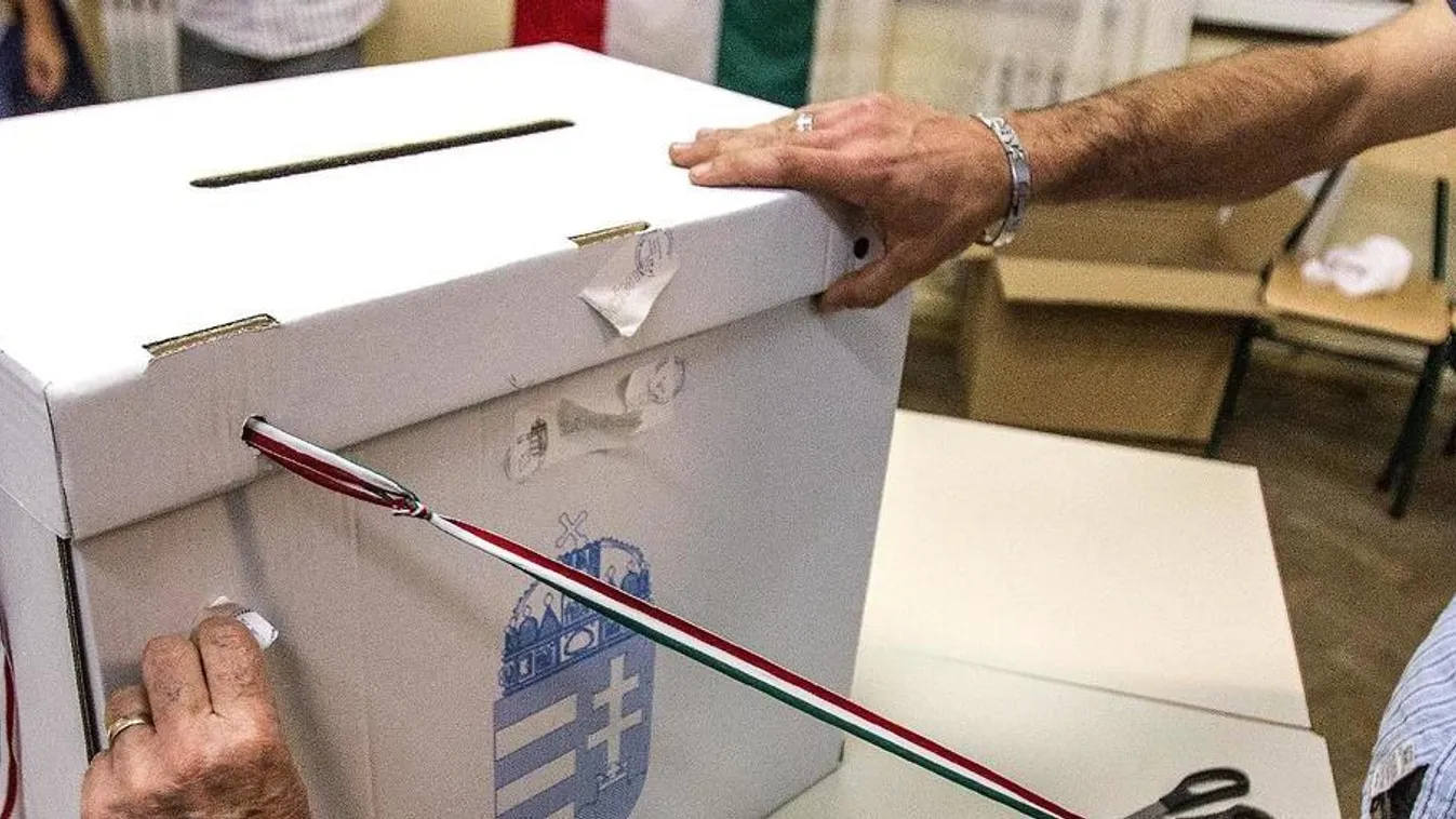 Részvételi rekord a hódmezővásárhelyi választáson