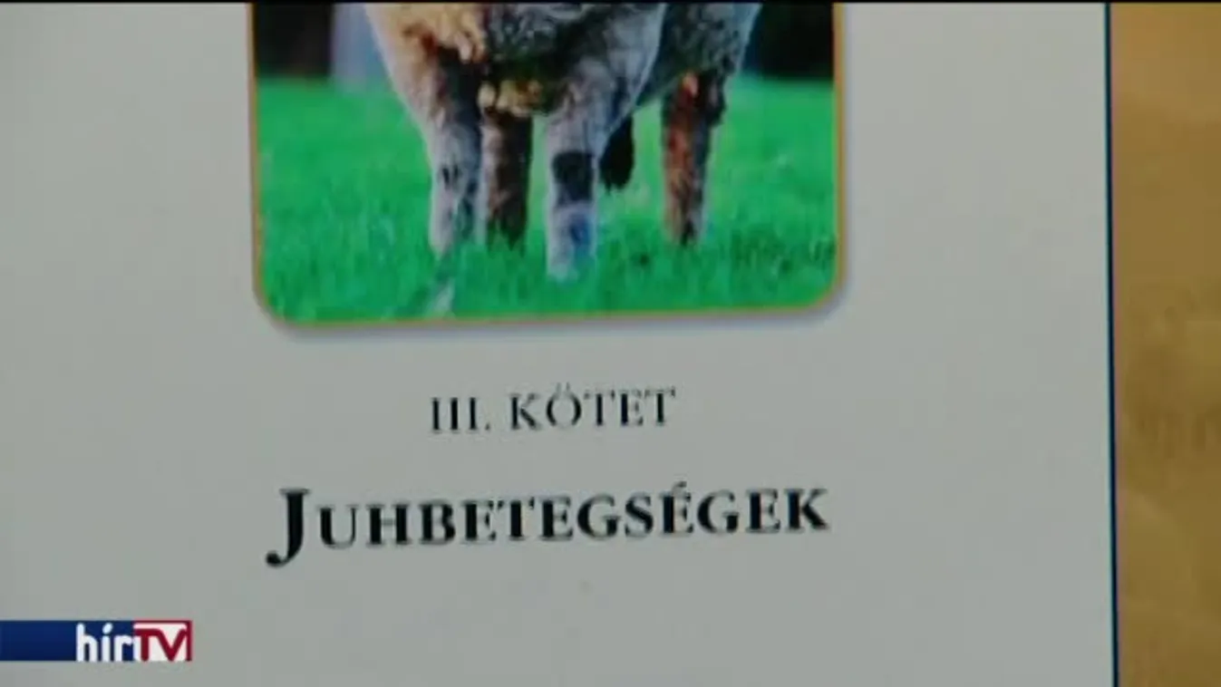 Nem hagyják annyiban a juhügyet