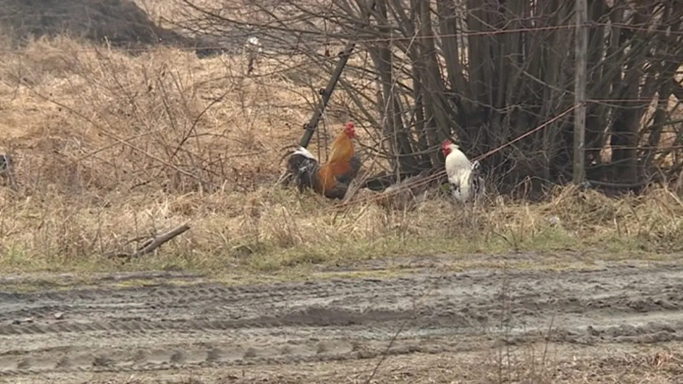 Több településen is védőövezetet alakítottak ki