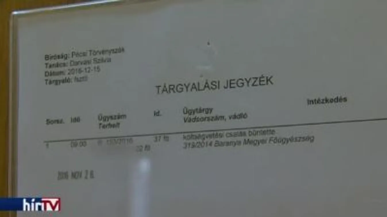 Több száz milliós kárt okozott egy bűnszervezet