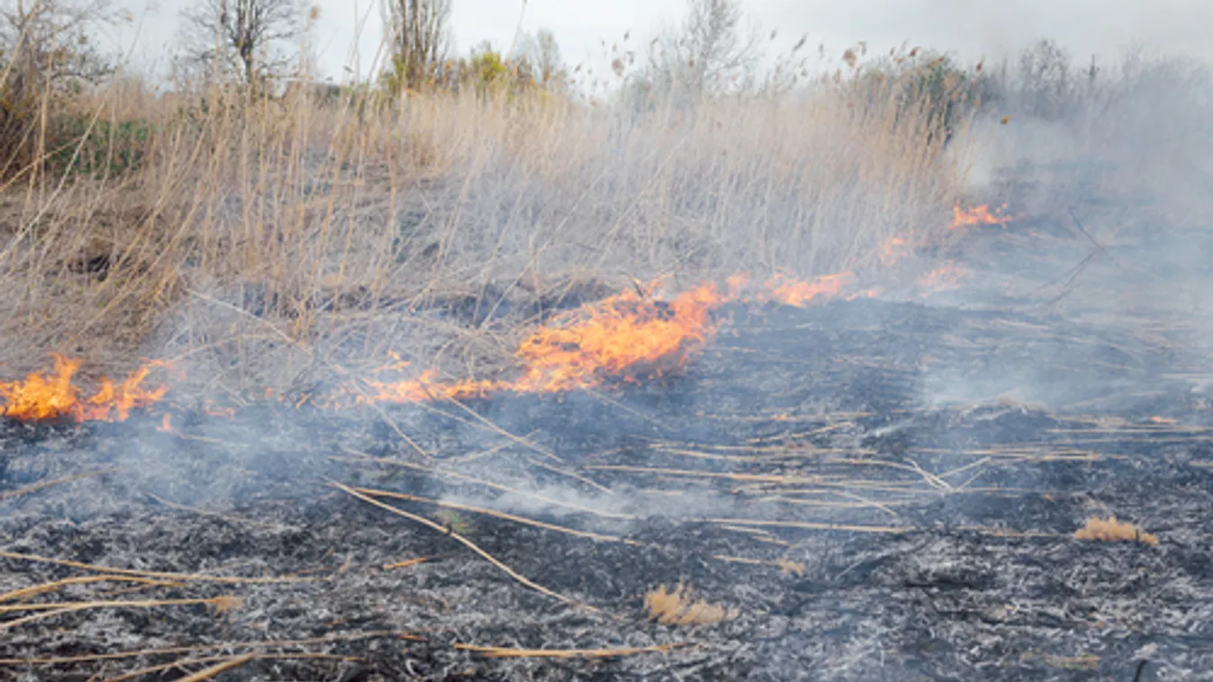 Eloltották a fonyódi nádtüzet