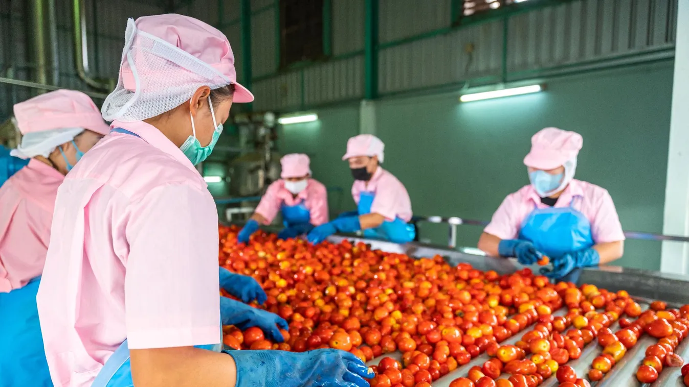 Hivatalos: ennyivel nő a minimálbér és a garantált bérminimum