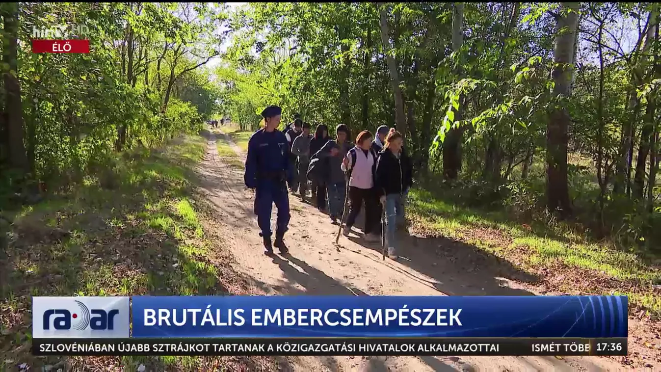 Grúz embercsempészekre csaptak le a rendőrök + videó