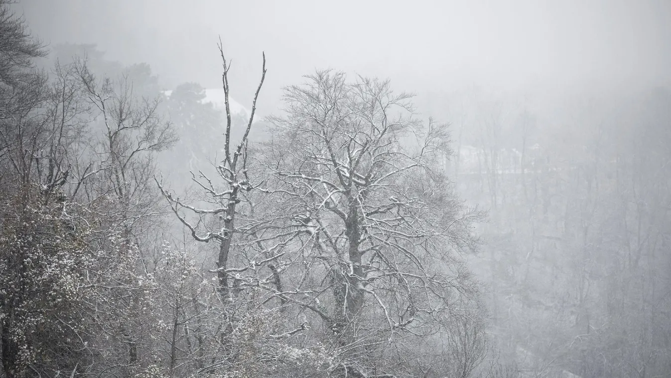 Megvan a cserbenhagyó sofőr