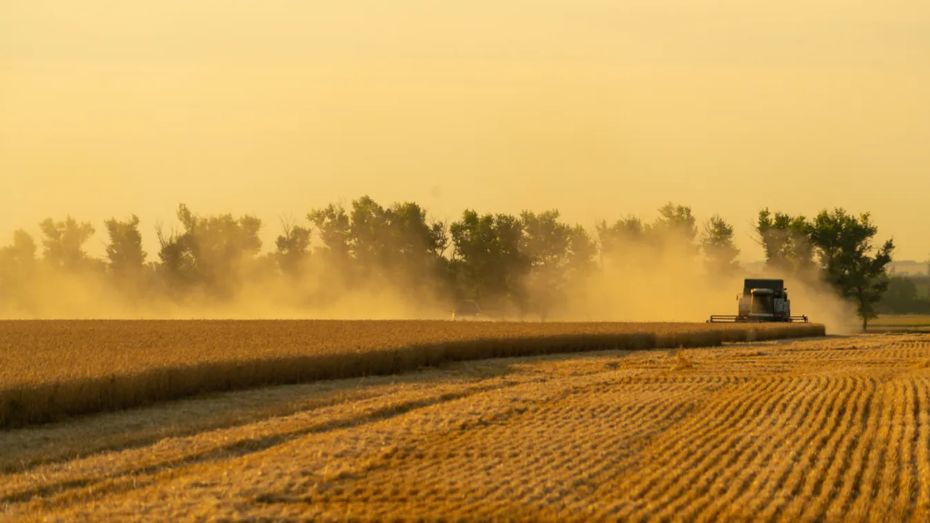 Itt a szakértői tanács az idei hőhullám elleni védekezésre  a mezőgazdaságban
