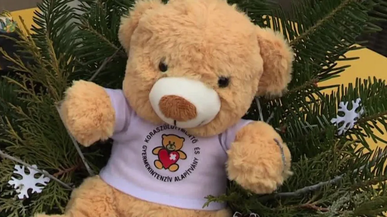 Ételosztást tartottak Zalaegerszegen